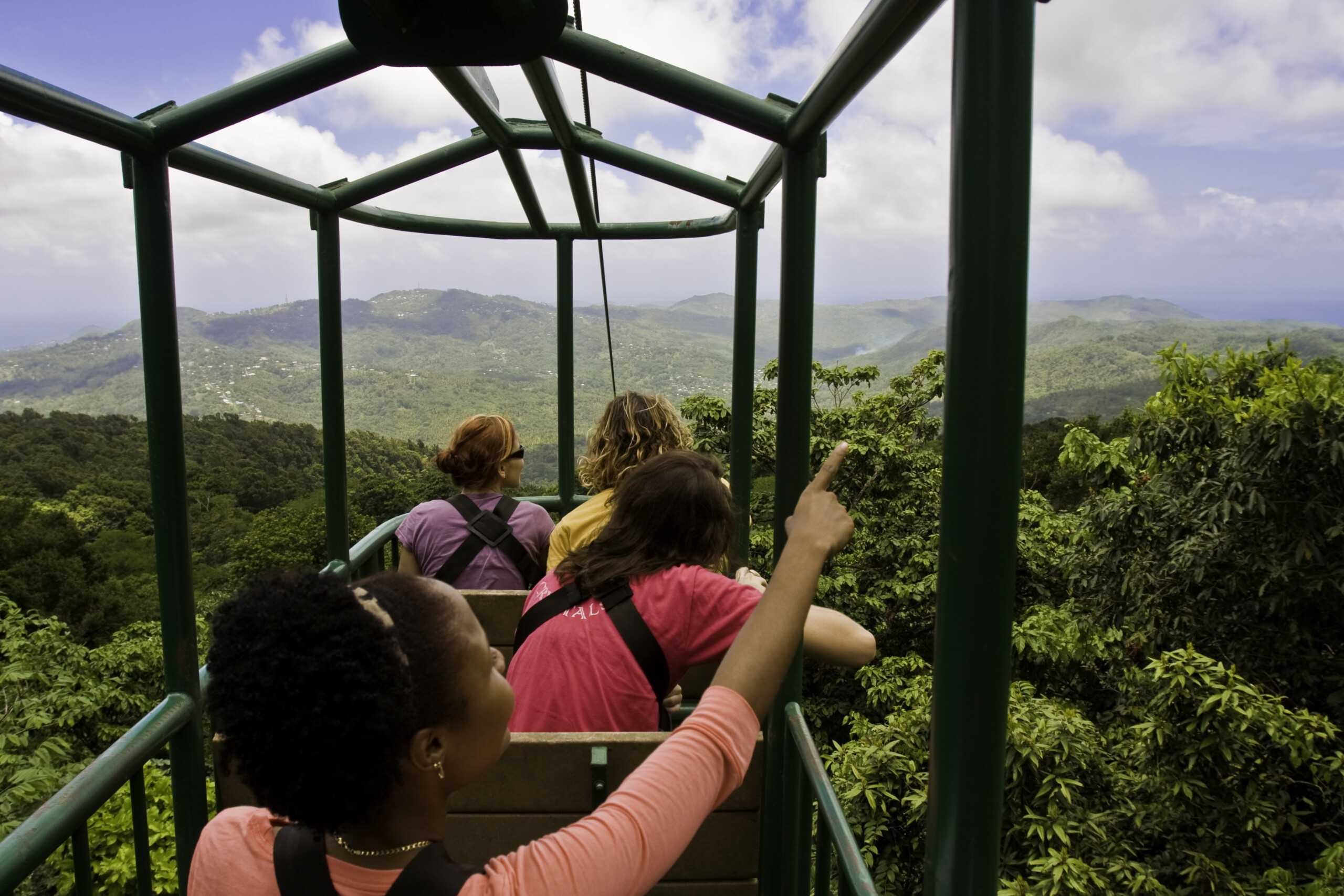 Rainforest Ariel Tram, Zip Lines